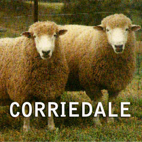 CORRIEDALE UNDYED