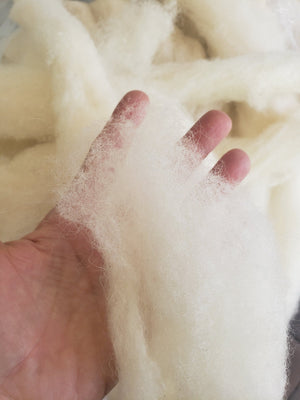 CORE WOOL CARDED  SLIVER Needle Felting - ONE POUND - Group Order