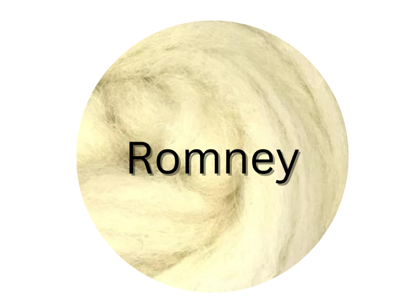 Romney carded sliver great for needle felters or woolen spinners G