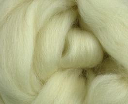 DORSET HORN combed top  (heritage breed) ONE POUND - group sale pre-order