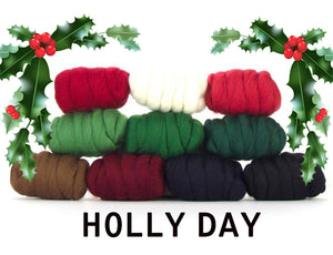 HOLLY DAY 23 micron Merino Combed Top Sampler - 1 Pound and 1 Ounce  - Group Presale Please allow up to 3 weeks for shipping