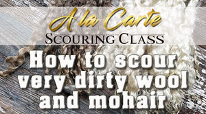 WASHING DIFFICULT FIBER ONLINE CLASS