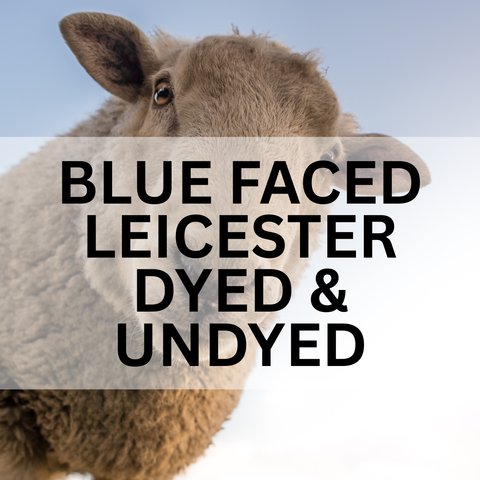 BLUE FACED LEICESTER UNDYED