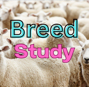 BUILD YOUR OWN BREED STUDY