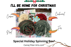 I'LL BE HOME FOR CHRISTMAS.  EXCLUSIVE SPECIAL SPINNING BOX® HOLIDAY BOX  - This box will ship on December 5th