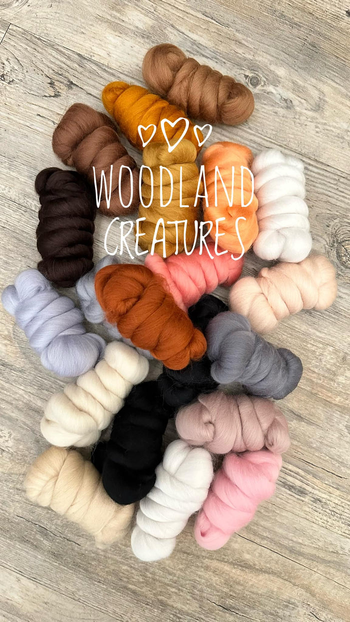 WOODLAND CREATURES 23 micron Merino Top Sampler - 1 Pound and 1 Ounce - J