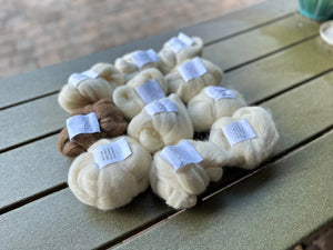 BREED STUDIES ARE BACK IN STOCK!  11 different breeds  - J