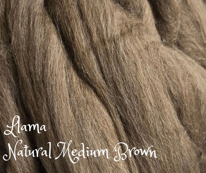 LLAMA Natural Medium Brown Combed Top De-Haired - One Ounce - M