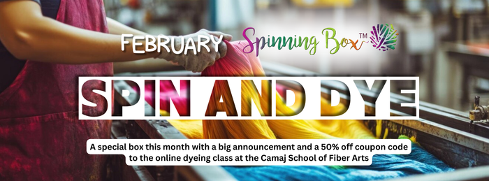 SPIN AND DYE SPINNING BOX® February 2025