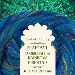 Deal of the Day! Peafowl - Corriedale and Rainbow Firestar Blend Combed Top - J