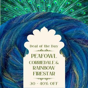 Deal of the Day! Peafowl - Corriedale and Rainbow Firestar Blend Combed Top - J