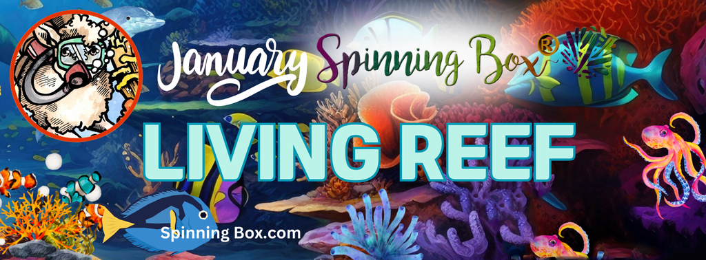 LIVING REEF SPINNING BOX® January 2025