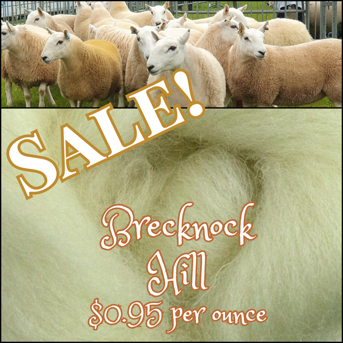 ***WOOL OF THE WEEK - LIMITED EDITION RARE BREED BRECKNOCK HILL CHEVIOT TOP - by the ounce in stock