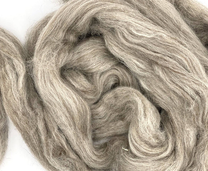 Blue Faced Leicester OATMEAL undyed combed top ONE POUND  *** Please give up to 3 weeks for delivery***