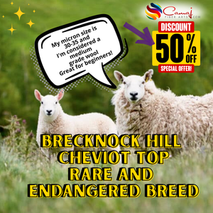 Rare Breckenock Cheviot combed top