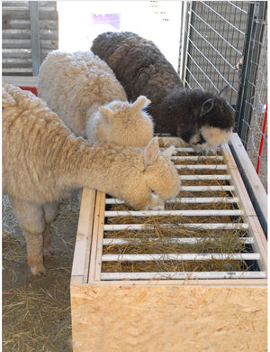 Alpaca livestock low waste feeder box plans tutorial - PDF - INSTANT DOWNLOAD