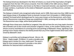 NEW BREED ALERT!  Galway Ireland's only native sheep breed - 1 Pound Group Presale - please allow up to 3 weeks for shipping