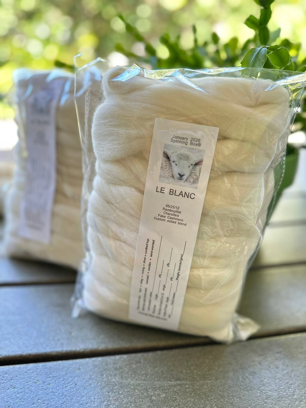 LE BLANC - 65/25/12 Rambouillet, Charollais/Fake Cashmere nylon 4-ounce pack sold by Carissa