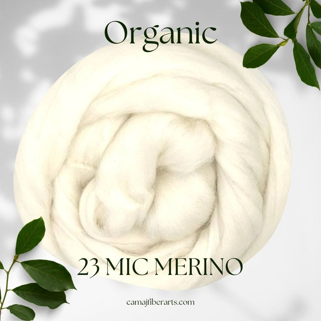 Organic Undyed 23 mic Merino Combed Top - 1 Pound - Group Presale - Please allow up to 3 weeks for delivery