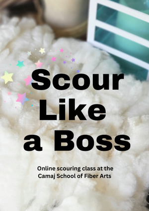 ONLINE SCOURING CLASS