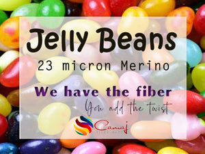 23 micron Merino - ZEN FIBER JELLY BEANS (group sale) - 1 pound 1 ounce **PLEASE GIVE UP TO 3 WEEKS FOR SHIPMENT**