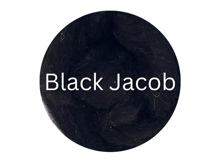 Jacob Black carded sliver  - great for needle felters or woolen spinners - GROUP SALE - ONE POUND **PLEASE GIVE 2 TO 3 WEEKS FOR SHIPPING
