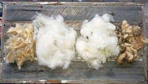 50% OFF TODAY!! WOOL SCOURING CERTIFICATION MASTER CLASS - FREE bonus lessons
