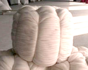 Blue Faced Leicester UNDYED BUMP combed top - 22.2 pounds