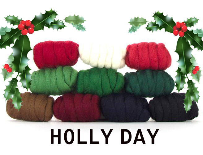 HOLLY DAY 23 micron Merino Combed Top Sampler - 1 Pound and 1 Ounce  - Group Presale Please allow up to 3 weeks for shipping