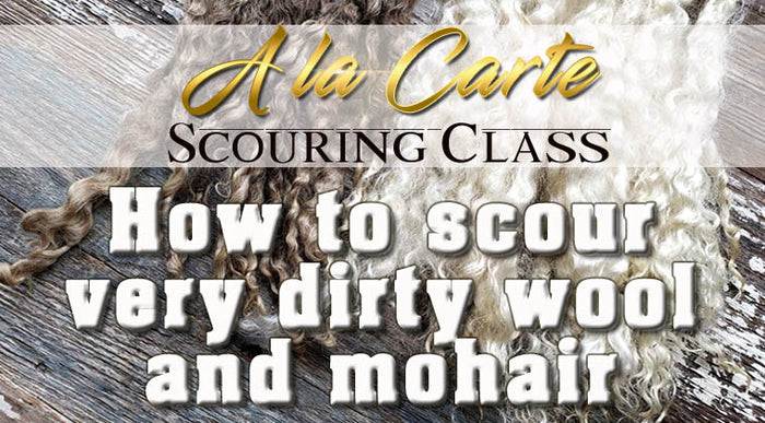 HARD TO SCOUR VERY DIRTY WOOL AND LONG LOCKS ONLINE COURSE